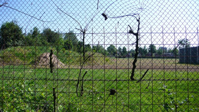 Klik op de foto om originele grootte te bekijken