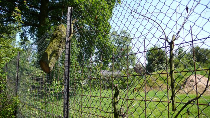 Klik op de foto om originele grootte te bekijken