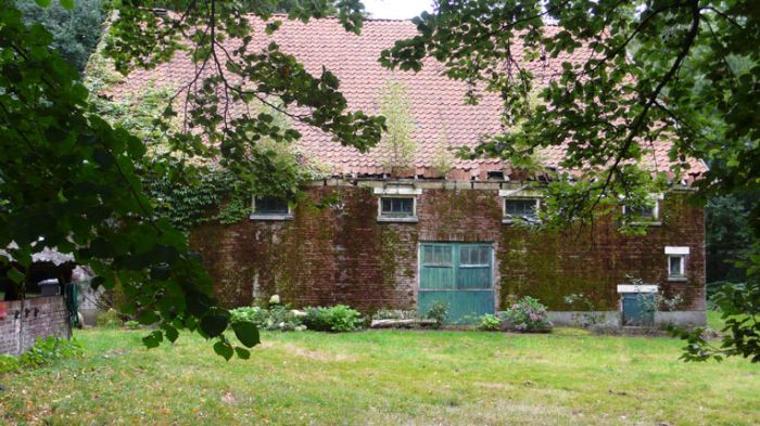 Klik op de foto om originele grootte te bekijken