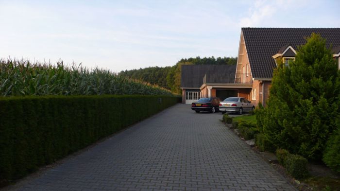 Klik op de foto om originele grootte te bekijken