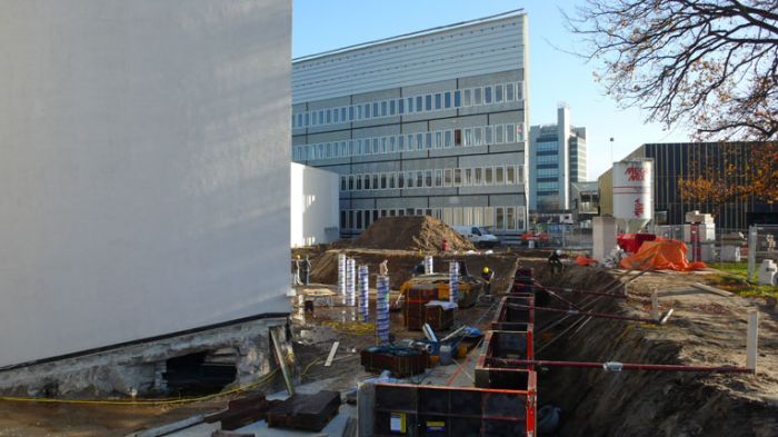 Klik op de foto om originele grootte te bekijken