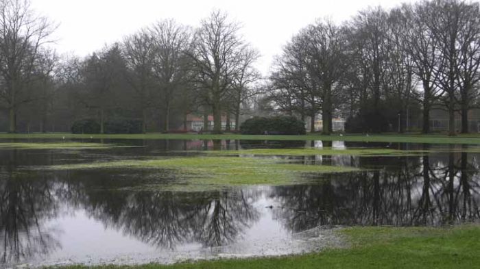 Klik op de foto om originele grootte te bekijken