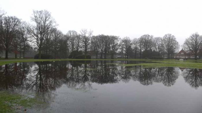 Klik op de foto om originele grootte te bekijken