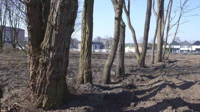 Klik op de foto om originele grootte te bekijken