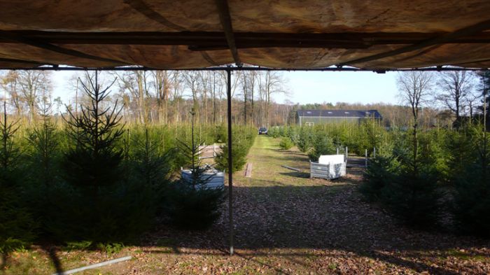 Klik op de foto om originele grootte te bekijken