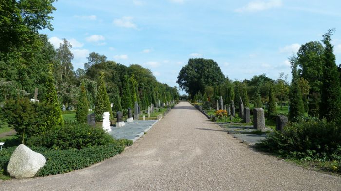 Klik op de foto om originele grootte te bekijken