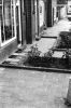 1978_2-28_woonerf_gedoe.jpg